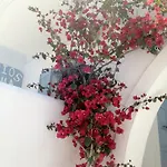 Aparthotel Sigma On The