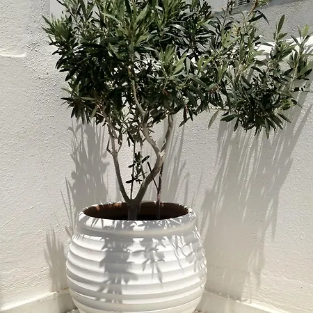 公寓式酒店 西格玛海滩公寓酒店 Naxos City