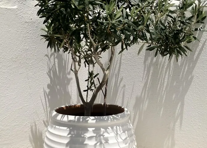 Appart hôtel Sigma On The Naxos City