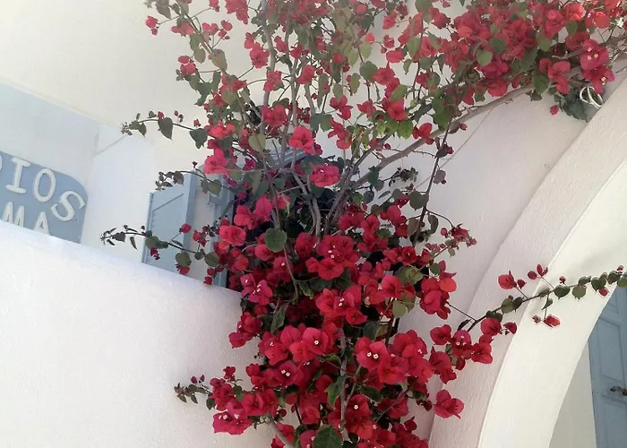 Aparthotel Sigma On The